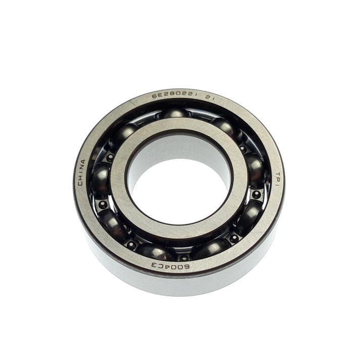 BEARING 6004