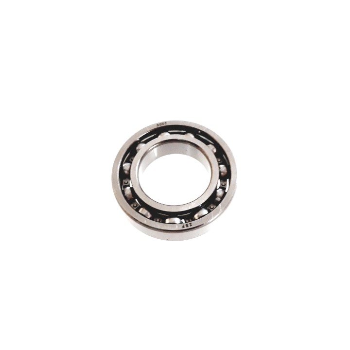 BEARING 6007