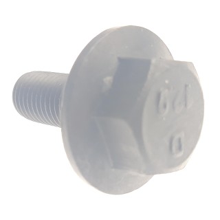BOLT M10X1.25X25