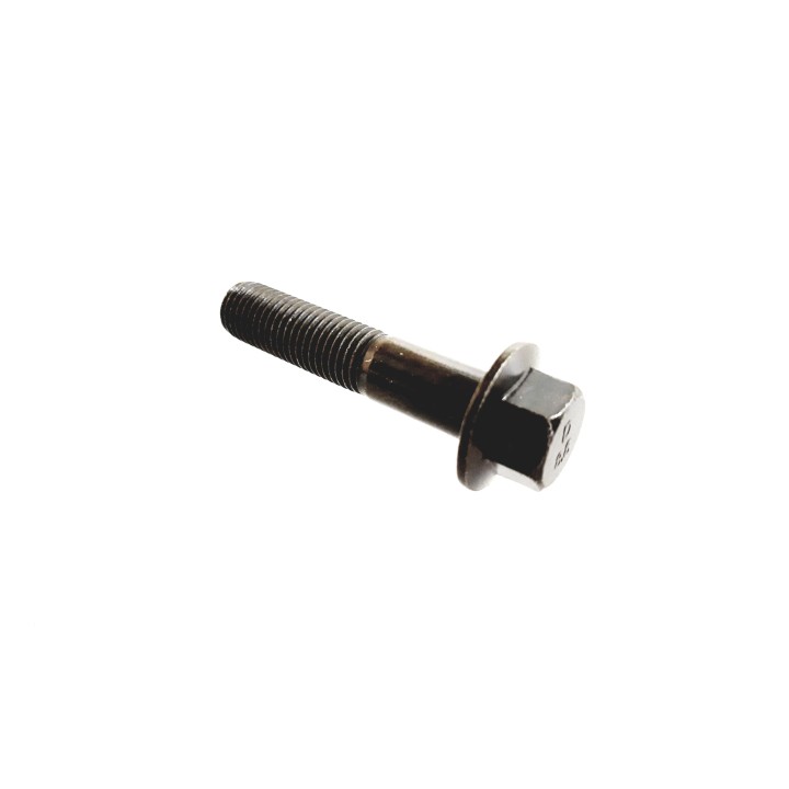BOLT M10X1.25X48
