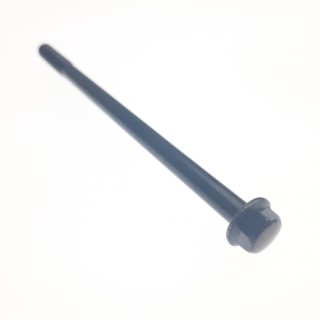 Bolt M6×100