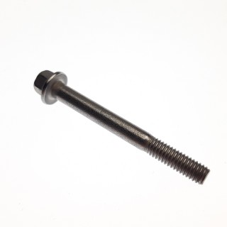BOLT M6×55