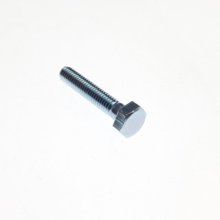 BOLT, HEX HEAD M6X33