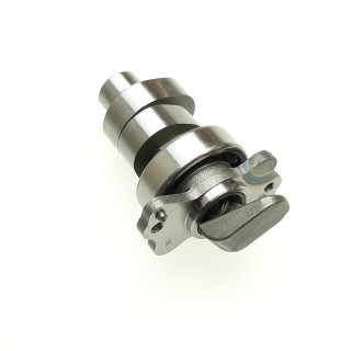 Cam shaft comp