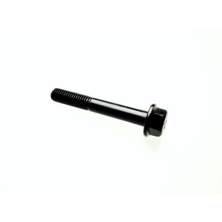 Hexagon Flange Bolt M8×1.25×55