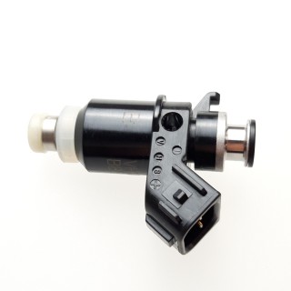 Injector, Fuel