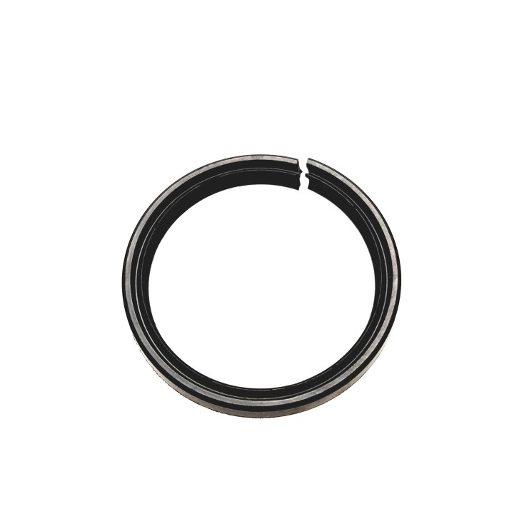 Oil Seal