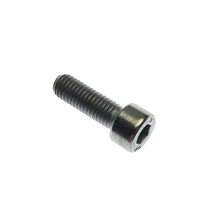 SCREW M8×25