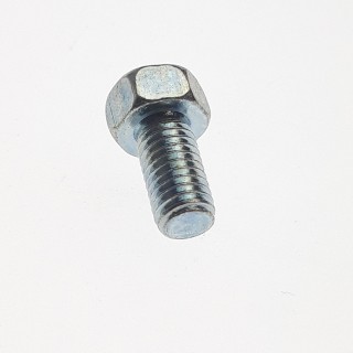 SCREW OVAL HEAD M5X10