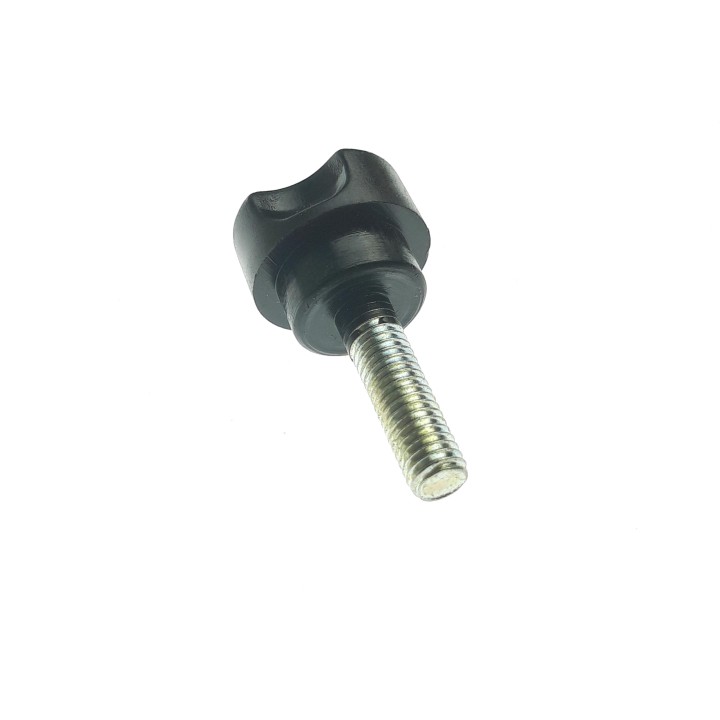 SCREW, BATTERY LID