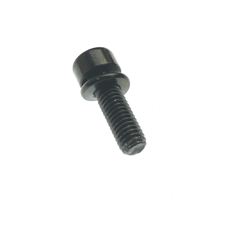 SCREW, SPECIAL