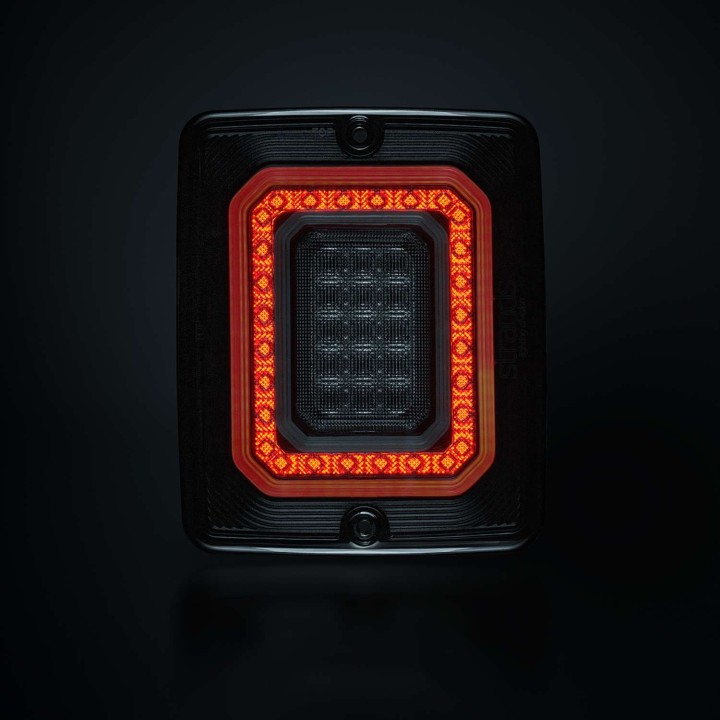 FOR9T ILLUSION REVERSE/FOG LIGHT STRANDS - view 5