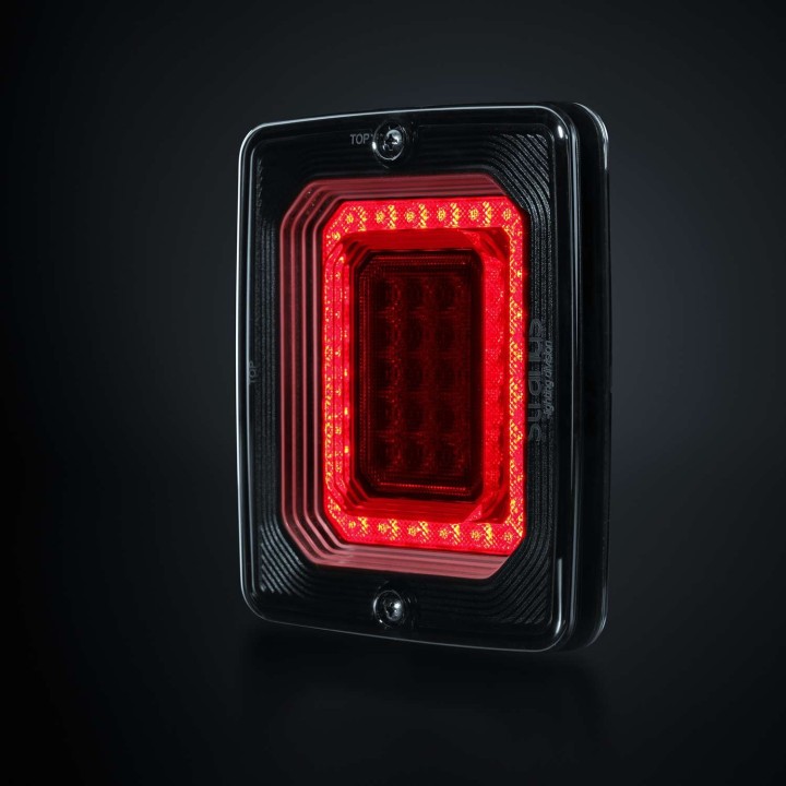 FOR9T ILLUSION REVERSE/FOG LIGHT STRANDS - view 6