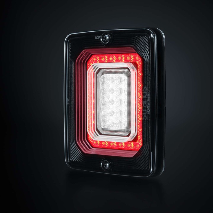 FOR9T ILLUSION REVERSE/FOG LIGHT STRANDS