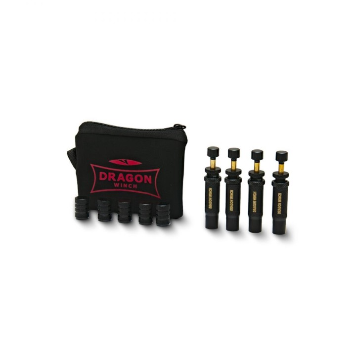 Dragon Winch Tire Deflators 0.7–2.0 Bar – Set of 4 Automatic Deflators