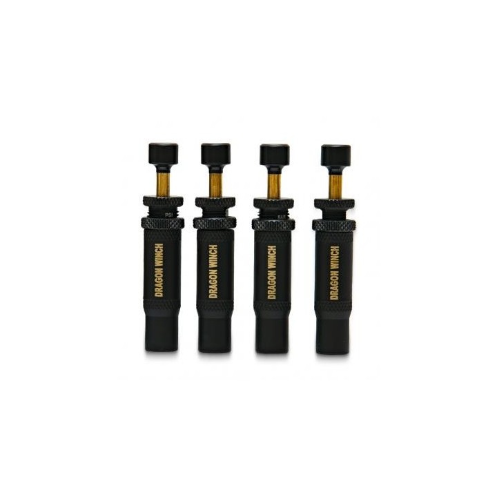 Dragon Winch Tire Deflators 0.7–2.0 Bar – Set of 4 Automatic Deflators
