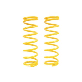 Raptor 4x4 Rear Lift Springs +2'' Patrol Y60 Short