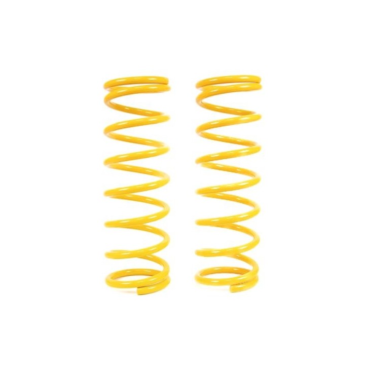 Raptor 4x4 Rear Lift Springs +2'' Patrol Y60 Short