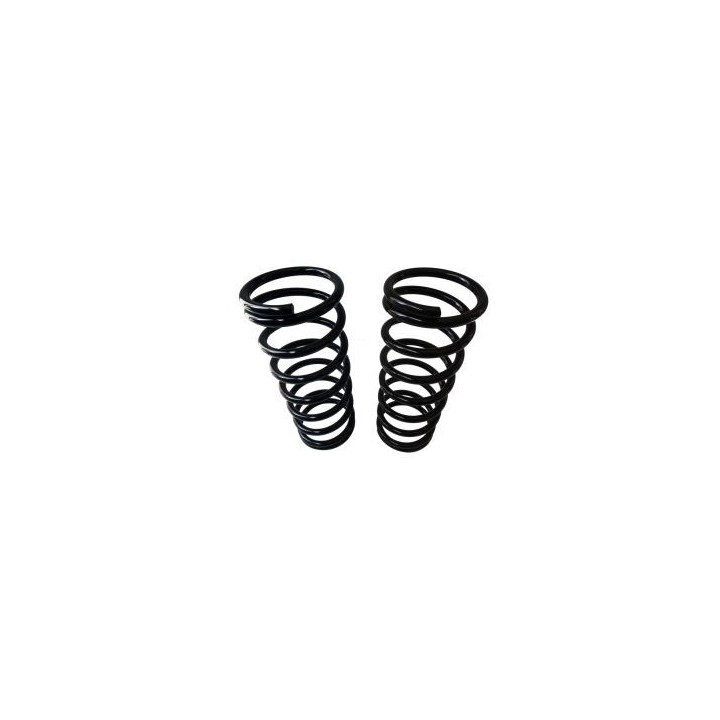Raptor 4x4 Rear Springs +2'' Nissan Patrol Y60 Short