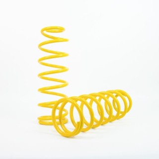 Raptor 4x4 Front Springs +2'' Nissan Patrol Y60/Y61