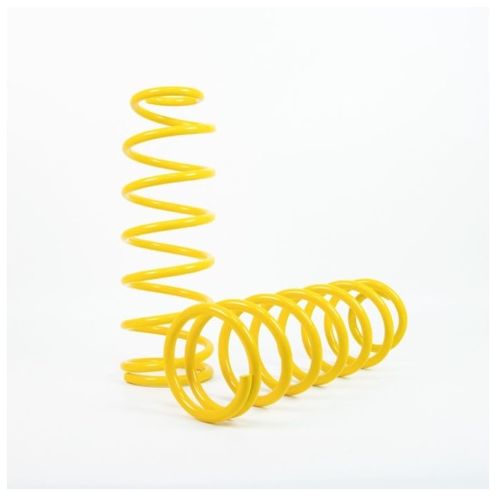 Raptor 4x4 Front Springs +2'' Nissan Patrol Y60/Y61