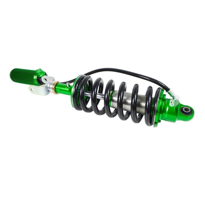 EFS MRP 2.5 assembled front strut, 50 mm lift — RAM 1500 DS Classic EFS4WD - view 6