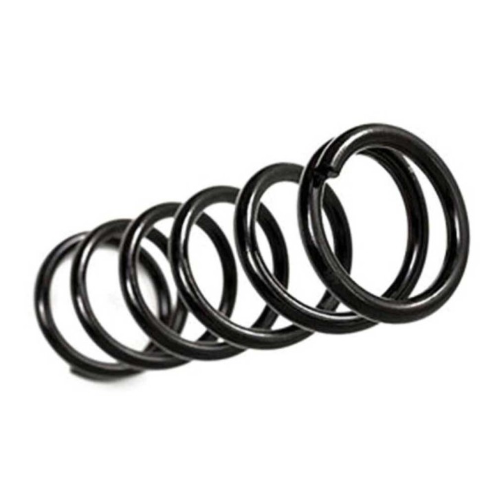 Rear coil springs BDS Pro-Ride Lift 2-3" - view 4