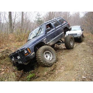 Rear long arm and coil spring conversion Clayton Pro Series - view 2