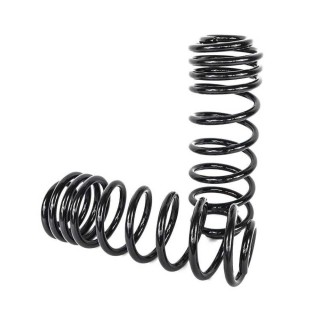Rear progressive dual-rate coil springs Clayton lift 1,5"