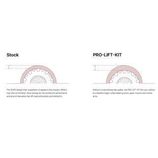 Kit coil springs EIBACH lift 2,5" for the F150 Raptor