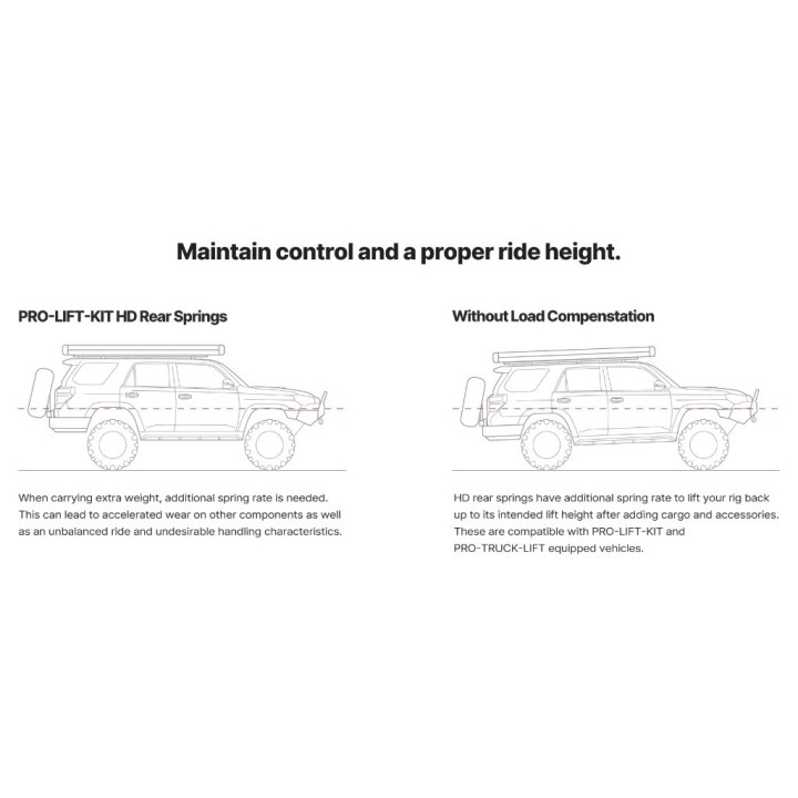 Rear coil springs 225 kg Eibach Lift 0,5-0,6" HD Raptor R - view 2