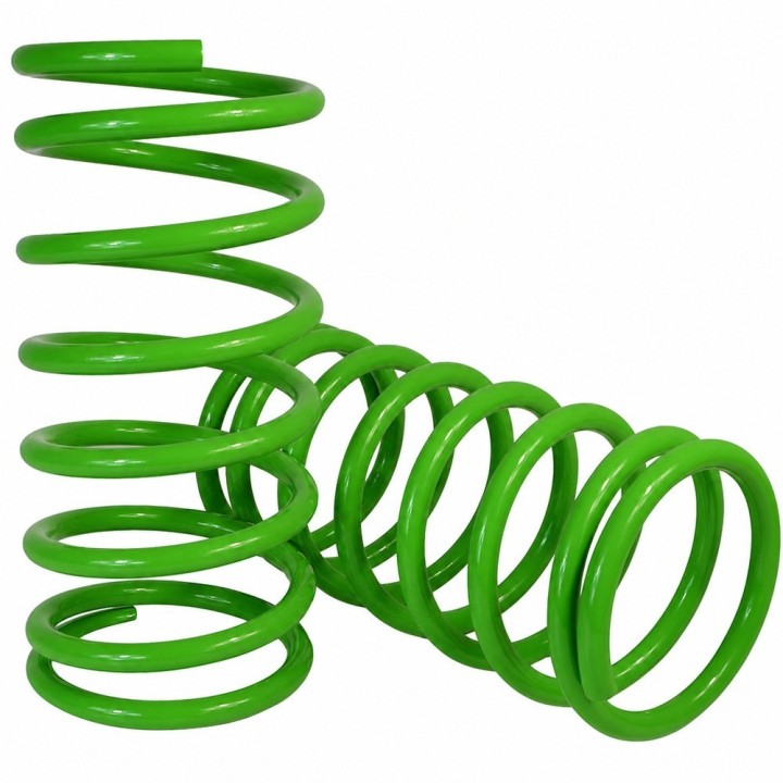 Rear coil springs Ironman 4x4 Heavy Duty MITS042A | Szekla