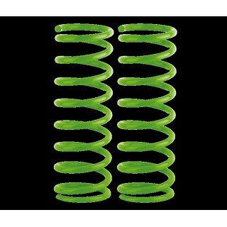 Rear coil springs Ironman 4x4 Nissan Pathfinder NISS018B