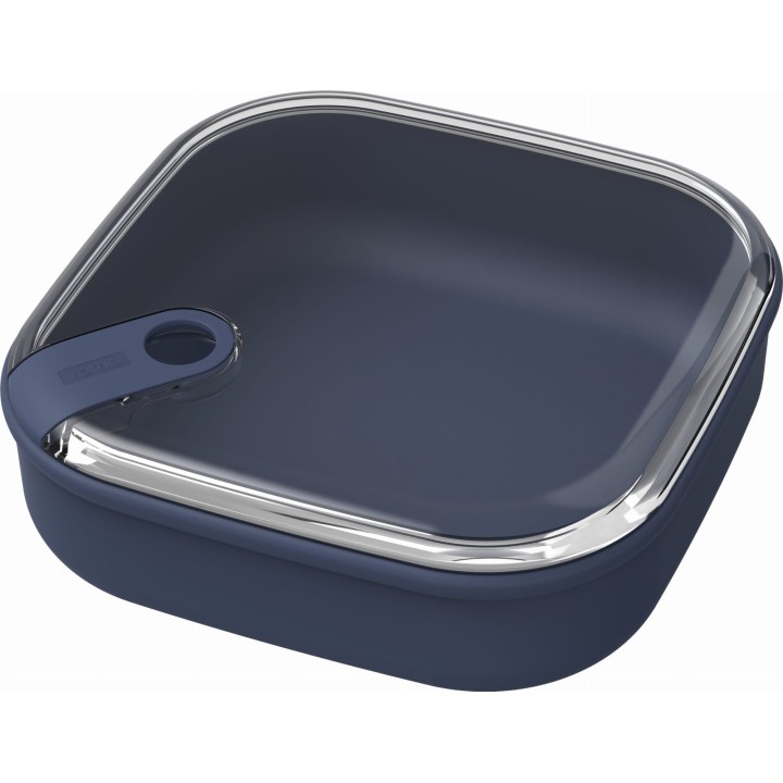 Rotho ELA 1 l Flat Airtight Food Storage Container, Navy