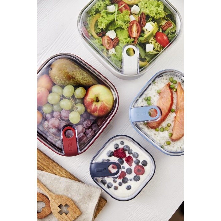 Rotho ELA 1 l Flat Airtight Food Storage Container, Navy