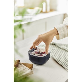Rotho ELA 1 l Airtight Food Storage Container, Navy