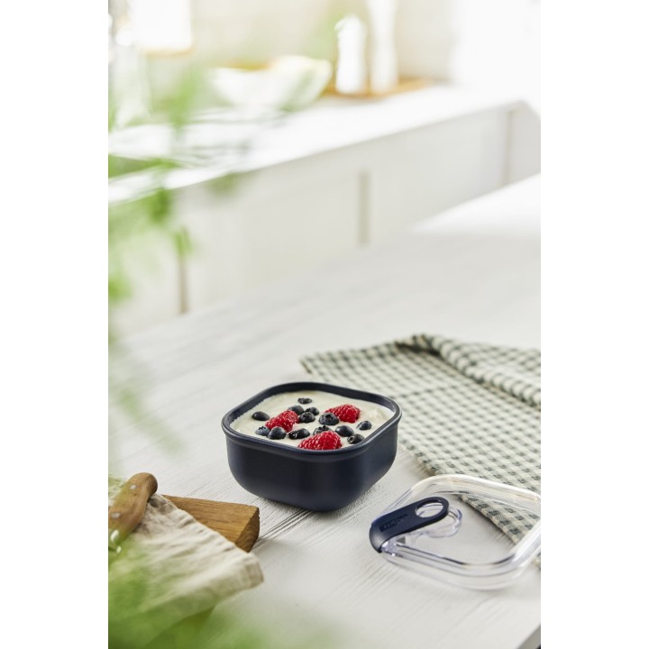 Rotho ELA 2 l Airtight Food Storage Container, Navy