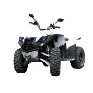 Dinli DL 703 ATV skid plate full set | Iron Baltic