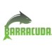 Barracuda
